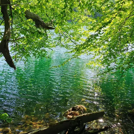 Apartment Tweet Tohuus